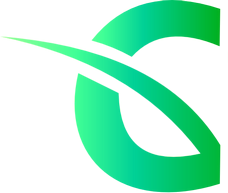 Cybernet Solutions Logo